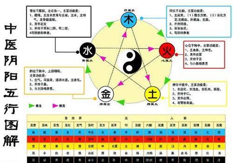 金生水職業|金命者必看職業指南